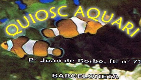 Quiosc Acuari