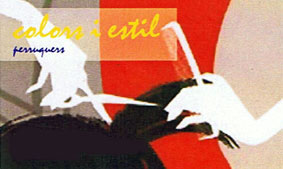 Colors i Estil