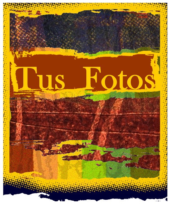 TUS FOTOS