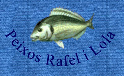 PEIXATERIA RAFA I LOLA
